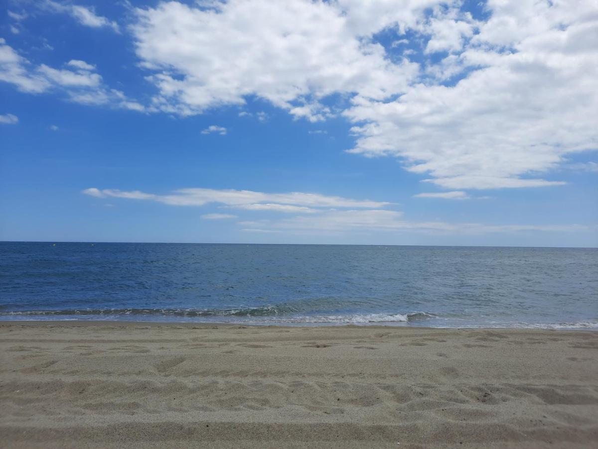 Appartement Vue Mer, Acces Direct Plage, Parking Privatif Ле-Баркарес Екстер'єр фото